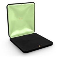 6822-int-noir-sat-vert-ext-noir