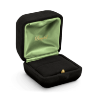 6866-int-noir-sat-vert-ext-noir